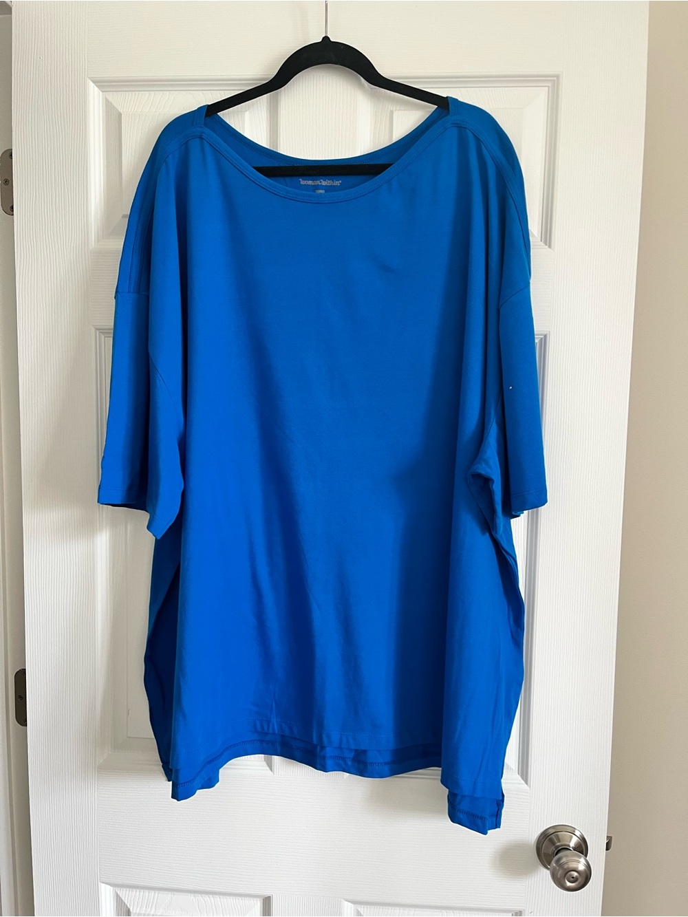 Woman Within Blue Short Sleeve Tunic Top